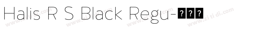 Halis R S Black Regu字体转换